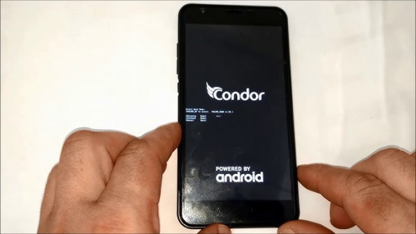 Condor plume l1 plus root -  updated April 2024