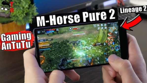 M horse pure 2 root -  updated March 2024 | page 10 