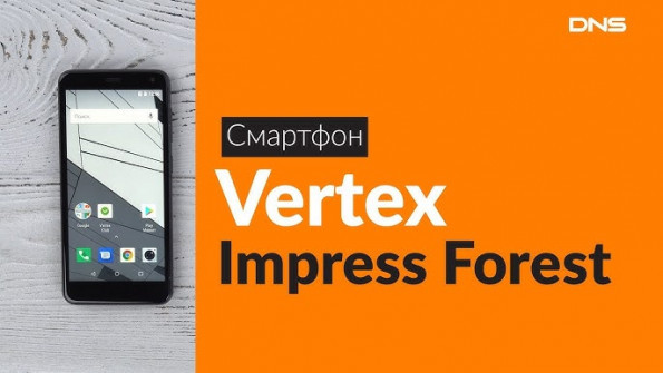 Vertex impress forest root -  updated March 2024