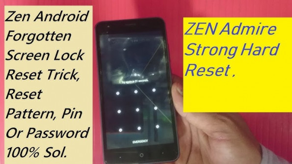 Zen admire strong root -  updated April 2024
