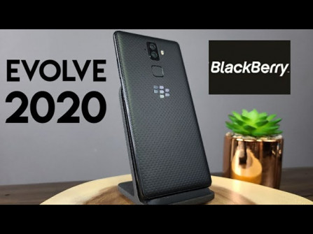 Blackberry evolve bbg100 1 root -  updated May 2024