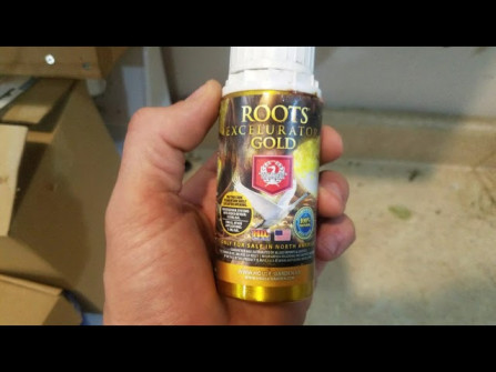 Orro g205 root -  updated May 2024